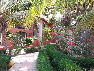 Royal Saly