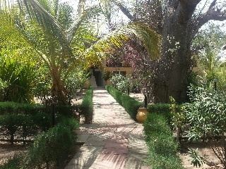 Royal Saly