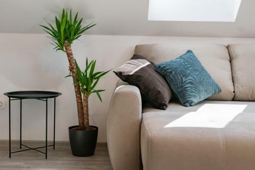 Prima Countryside Apartments