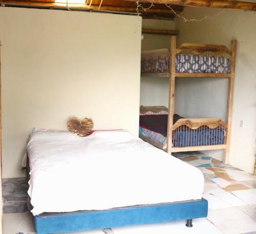 Lodge Diosa De La Monta�a
