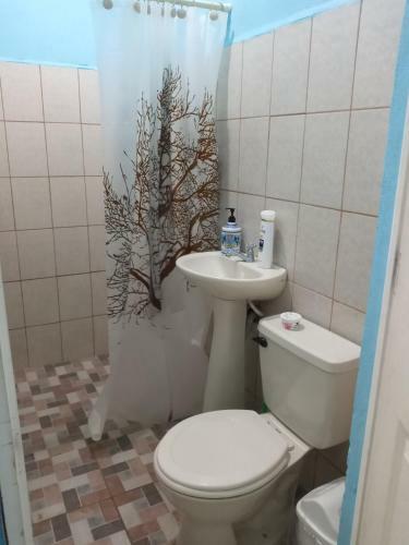 Hotel Hefziba