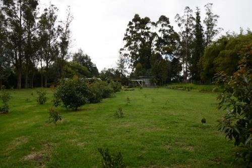 Villa La Palmita