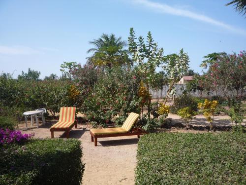 Bed & Breakfast La Tortue Bleue
