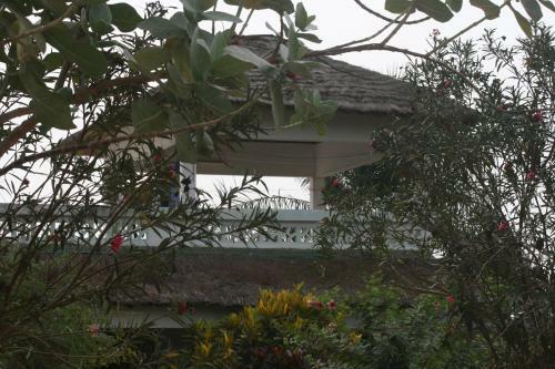 Bed & Breakfast La Tortue Bleue