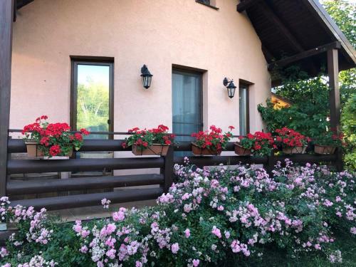 Nona House