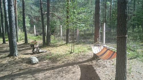 Cottage In Yagodnoye