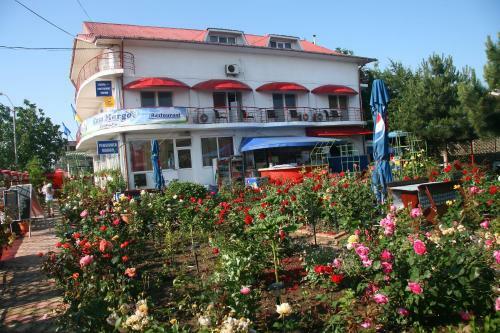 Hostal Pension Casa Margo