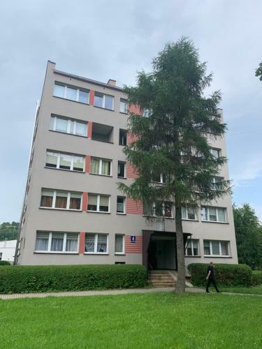 Apartament Studio 11