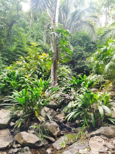 La Mello Adventure Lodge