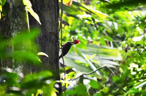 La Mello Adventure Lodge