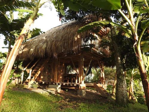 Bed & Breakfast Casa Bambu 75m2