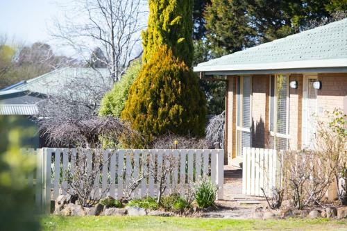 The Scotty House - Charming 3-bed Home With Garden