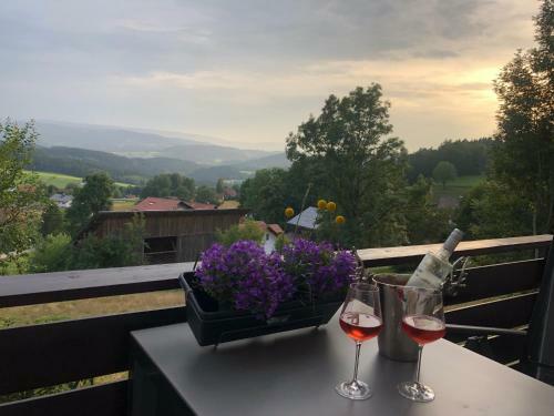 Apartment T�lerblick 2 -neu Modernisiert-