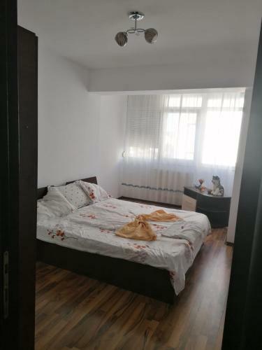 Apartamento Nuf?rul Plaza
