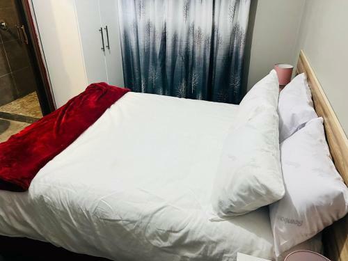 Hostal The Success Guest House