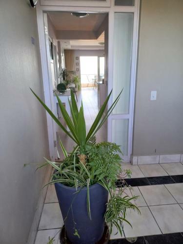 Apartamento Dolphin Beach H203 Table Mountain Views