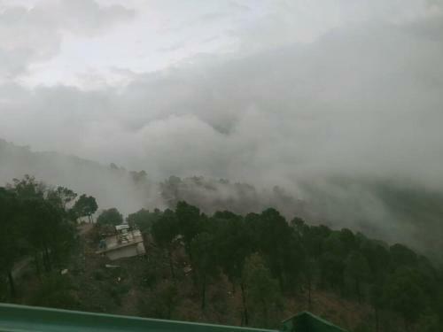 Aranya Villa 3bed Room Luxurious Villa In Kasauli
