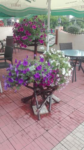 Hostal Pensiunea Sole Mio