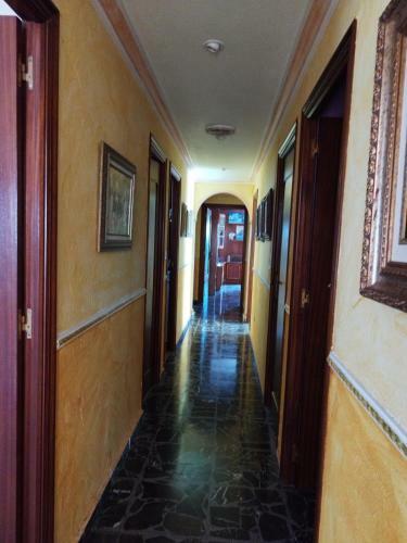 Apartamento Elche Holidays