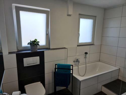 Apartamento Ferienhaus Steigrhein