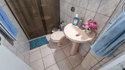 Apartamento Em Santos 200 Metros Da Ponta Da Praia