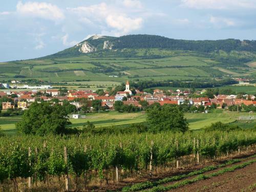 Hostal Penzion Kratochv�l