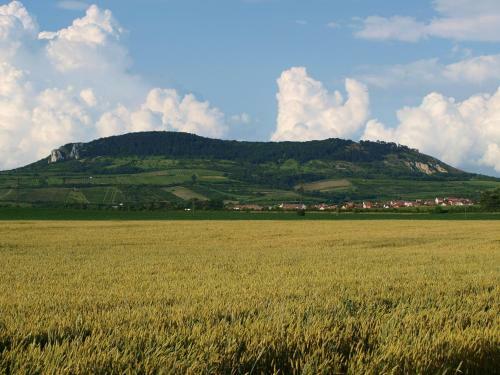 Hostal Penzion Kratochv�l