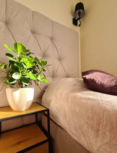 Malta Premium Apartment