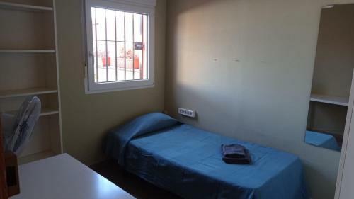 Apartamento Con Terraza, Tipo �tico, Dos Dormitorios Y Sal�n Con Sof� Cama