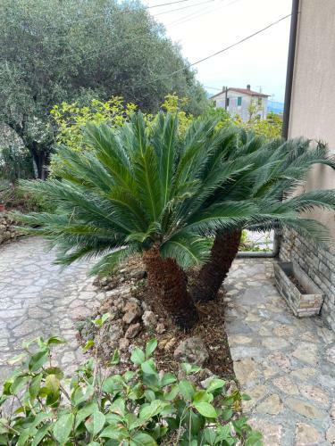 Apartamento Il Giardino Delle Cycas
