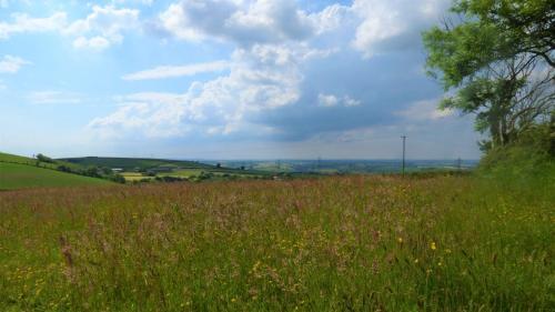 Ffos Wilkin Glamping