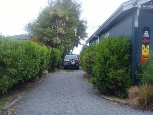 Albergue Big Tree Lodge Methven