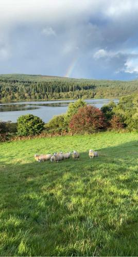 Cozy 2 Bedroom Cottage With Log Burner On Loch Ken