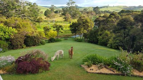 Bed & Breakfast Morepork Riverside Lodge