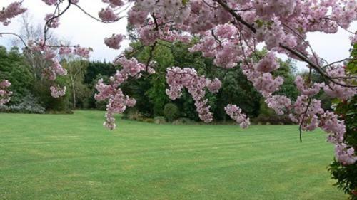Garden View Bed & Breakfast Rolleston