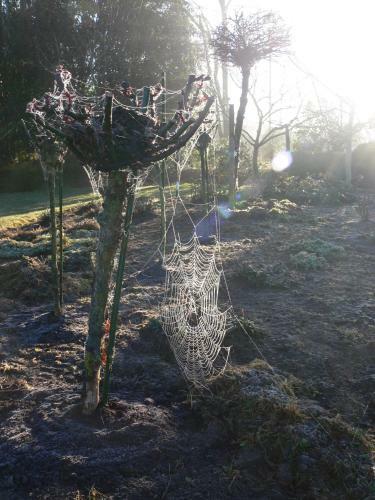 Garden View Bed & Breakfast Rolleston