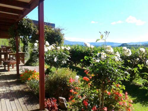Kauri Lodge