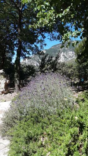 Agroturismo Azienda Agrituristica La Torretta
