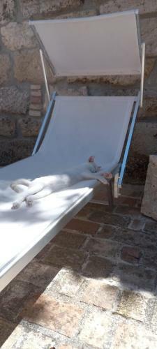Agroturismo Azienda Agrituristica La Torretta