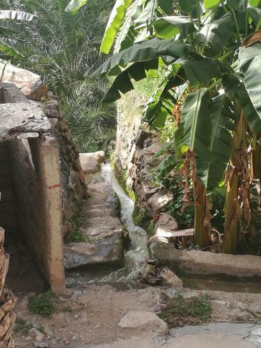 Hostal Misfah Old House