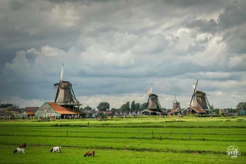 Zaanhof �luxurious Amsterdam Zaanse Schans Loft Apartment