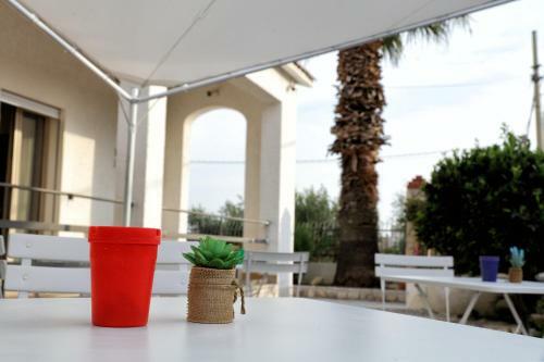 B&B Bouganville