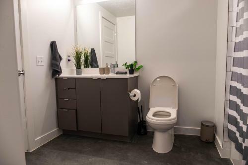Urban Downtown Apartment With Several Amenities