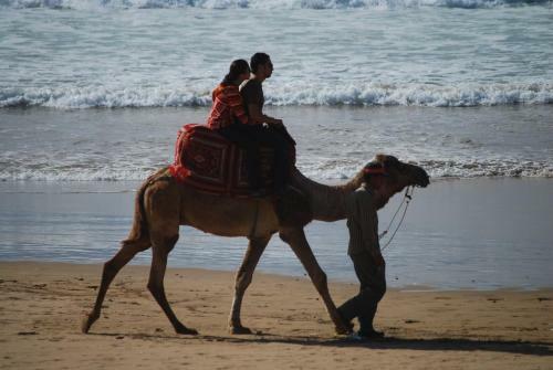 Royal Home Taghazout