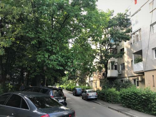 Adrian Home 3 Rooms Apartment