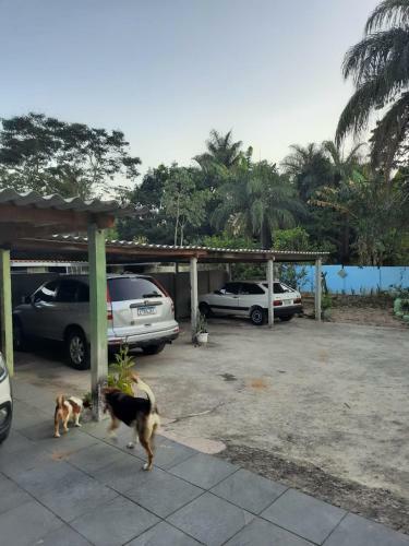 Casa Da Celinha - Aconchego Da Vov�