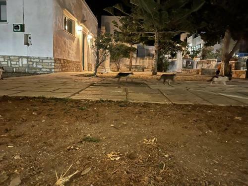 Amedi Villas Tinos