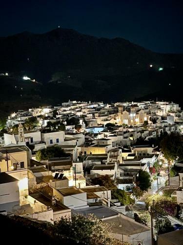 Amedi Villas Tinos