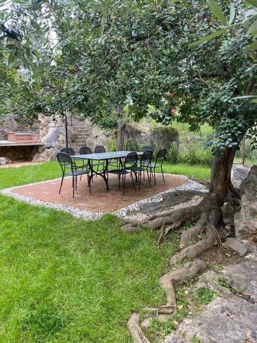 Apartamento Villa Paolina Ceriale - App. 4 Posti