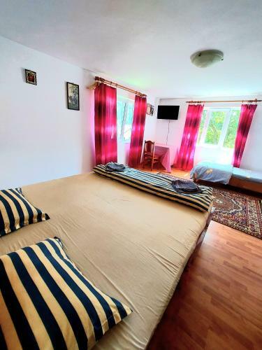 Hostal Pensiunea Boca Voronet